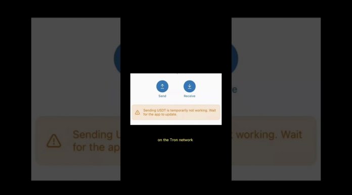 Sending USDT is temporarily not working
