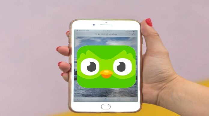 Duolingo App Icon