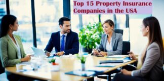 Top 15 Property Insurance Companies in the USA