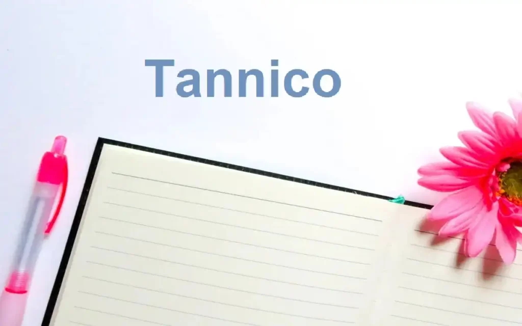 Tannico: Premium Italian Wines Delivered | Virtual Sommelier 2024