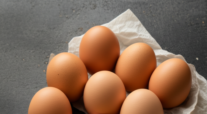 Salmonella Outbreak Triggers Nationwide Egg Boycott | Salmonella